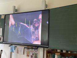 Img 4881