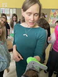 Img 4889