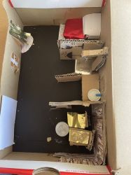Img 4578