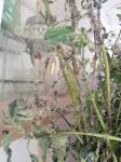 Img 20210703 Wa0044